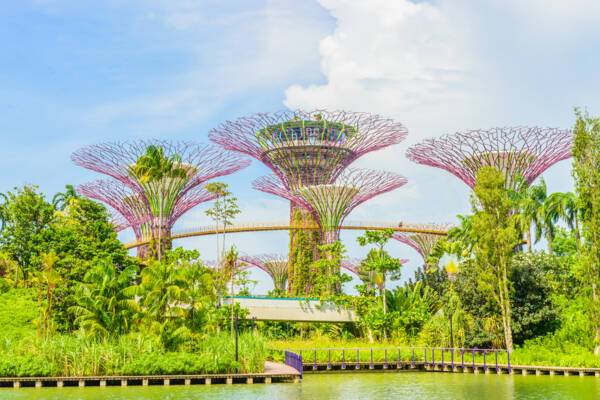 Garden by the Bay, Singapore